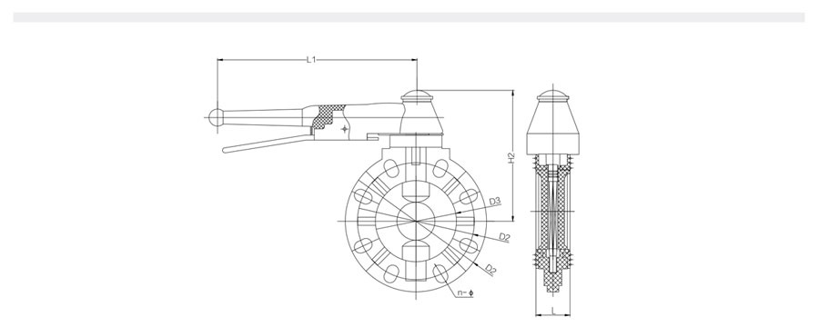 PVDF D71X-10F 手柄蝶阀-恒行3